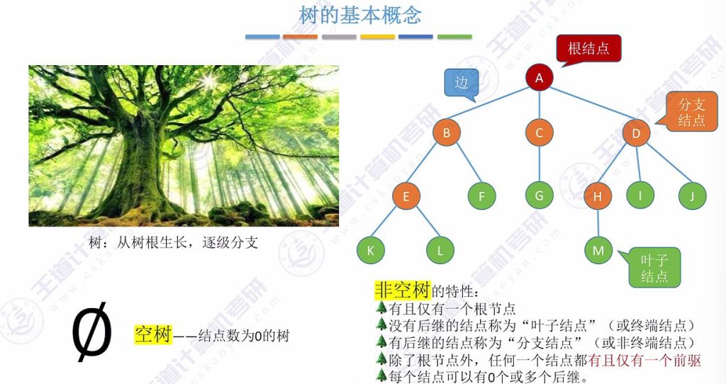 第五章 01树（王道）