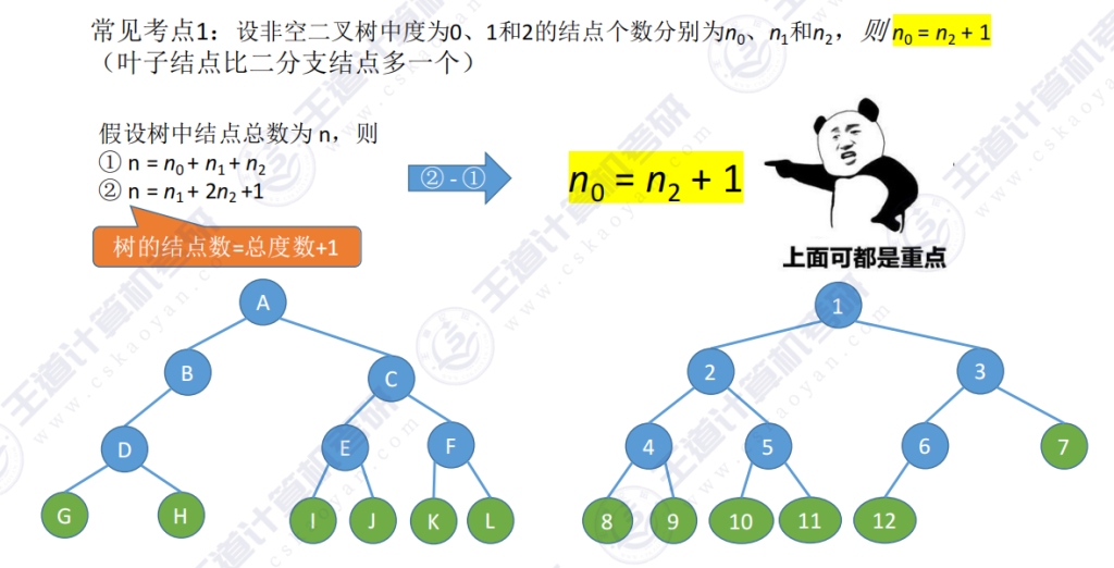 第五章 02二叉树（王道）