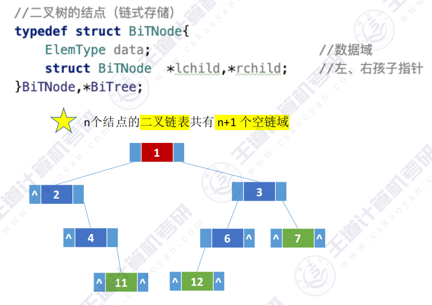 第五章 02二叉树（王道）