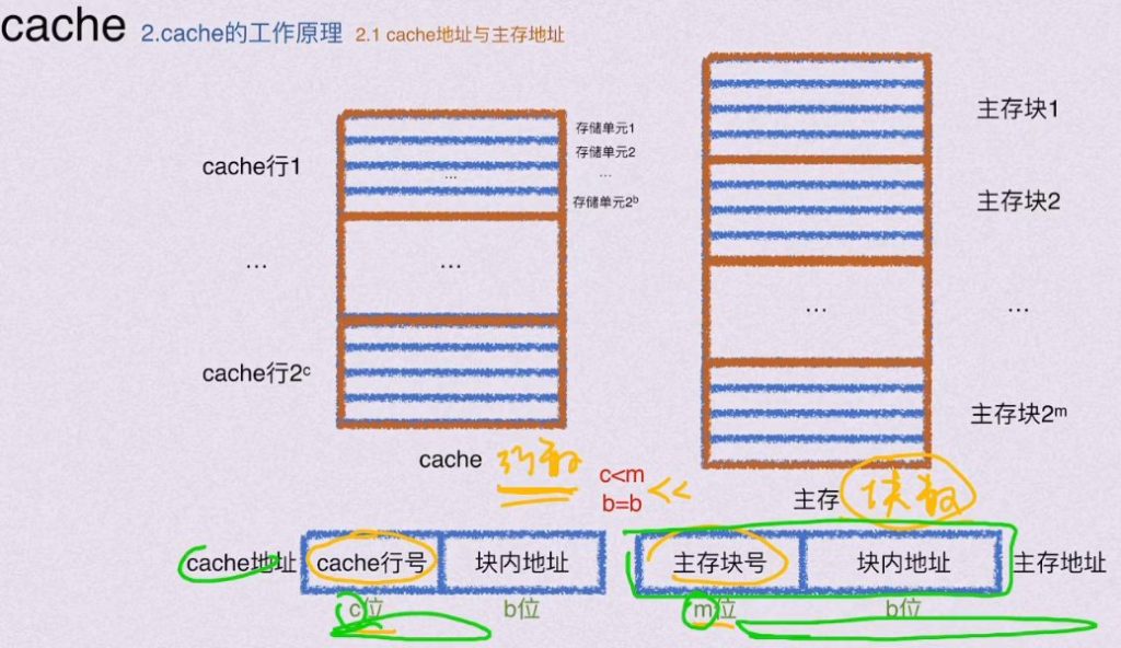 第三章 存储系统（BOK）