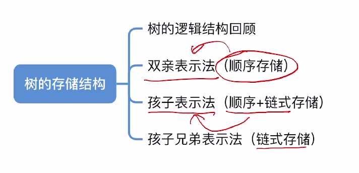 第五章 04树&森林（王道）