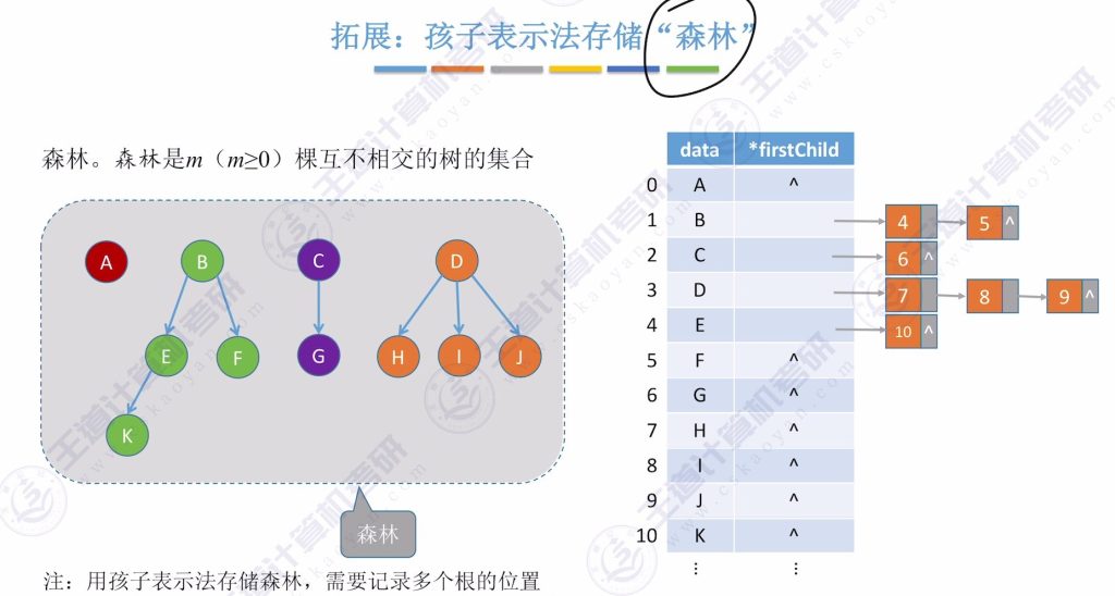 第五章 04树&森林（王道）