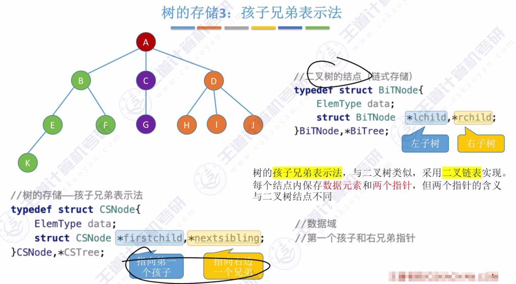 第五章 04树&森林（王道）