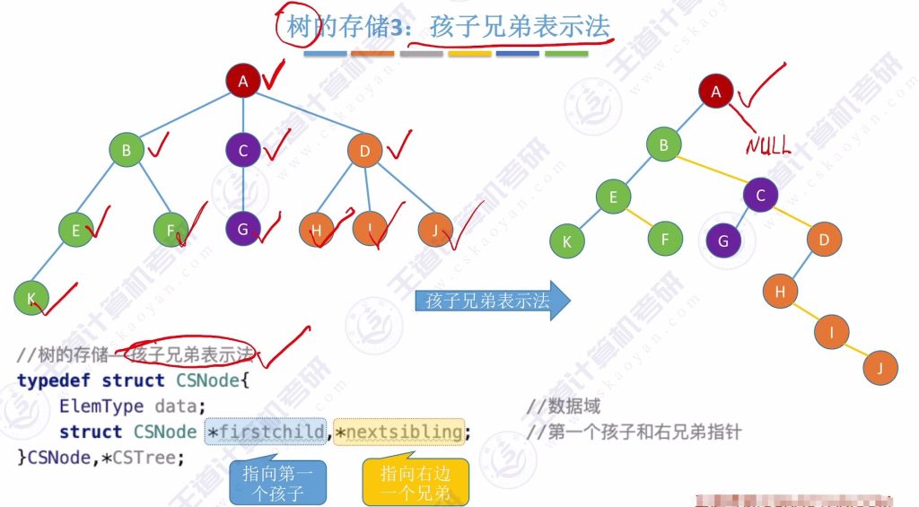 第五章 04树&森林（王道）