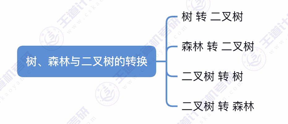 第五章 04树&森林（王道）