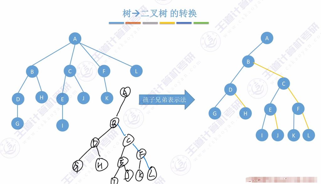 第五章 04树&森林（王道）
