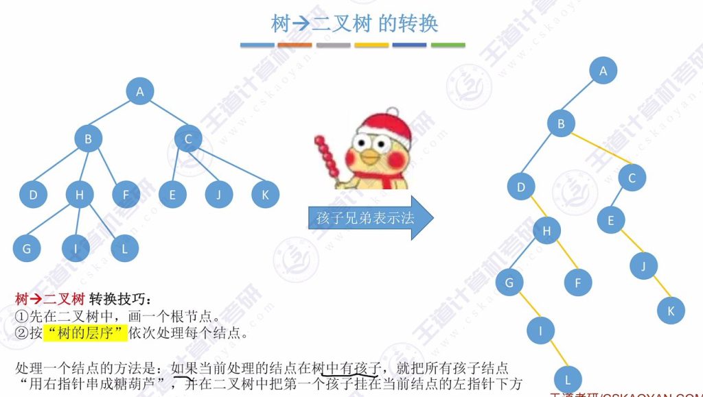 第五章 04树&森林（王道）