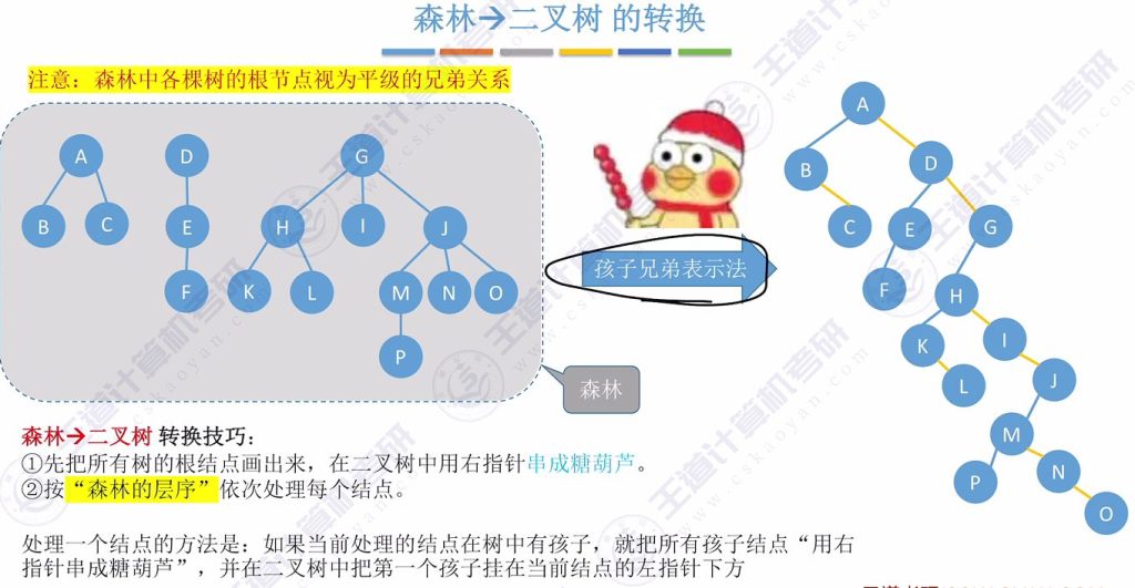 第五章 04树&森林（王道）