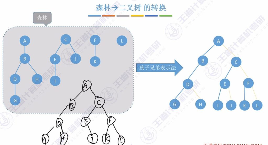 第五章 04树&森林（王道）
