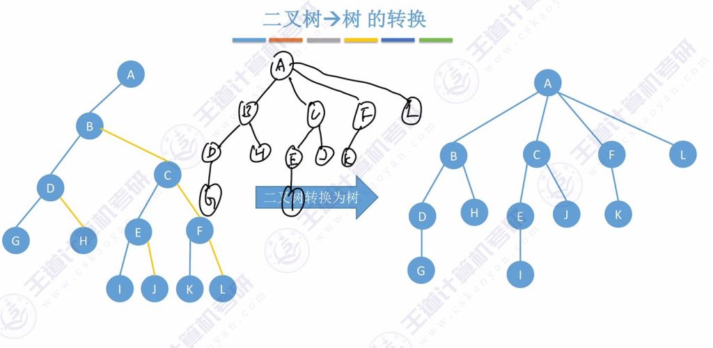 第五章 04树&森林（王道）