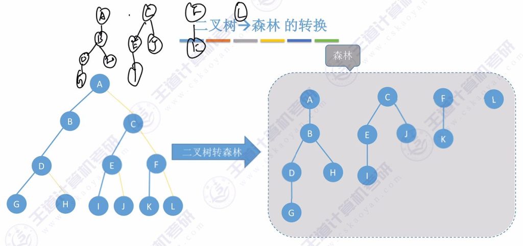 第五章 04树&森林（王道）