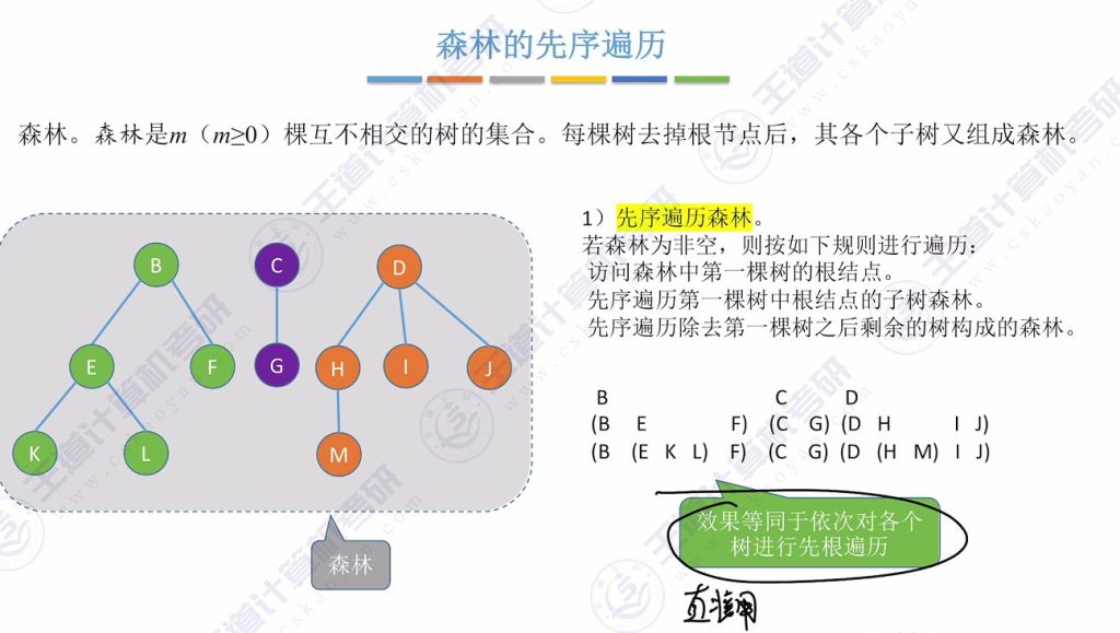 第五章 04树&森林（王道）