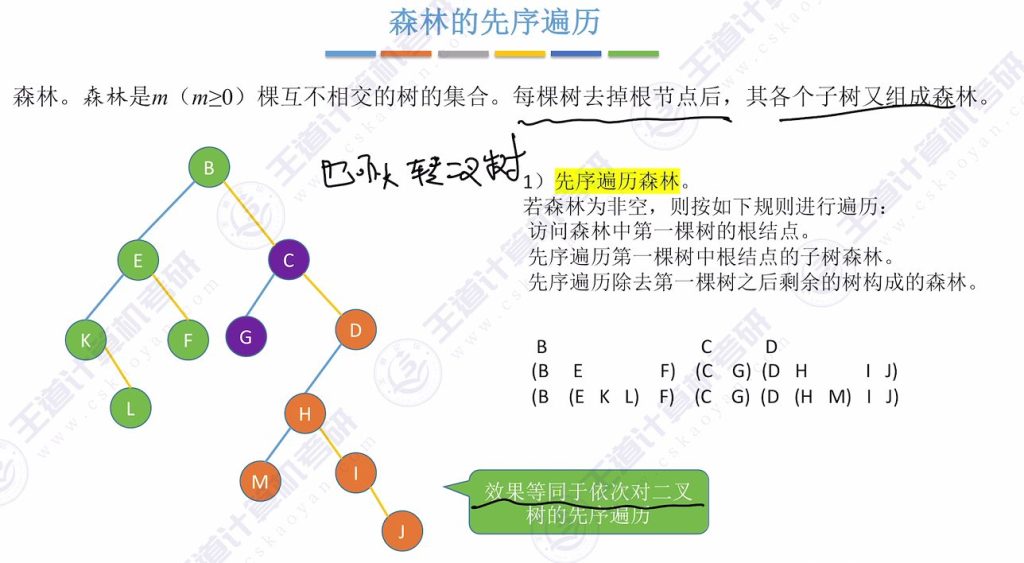 第五章 04树&森林（王道）