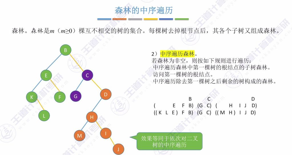 第五章 04树&森林（王道）