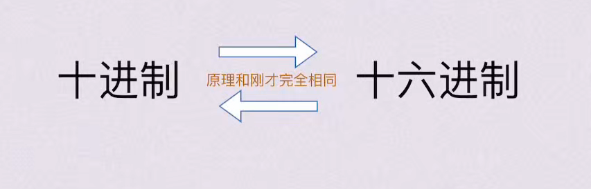 第二章 数据的表示和运算（BOK）
