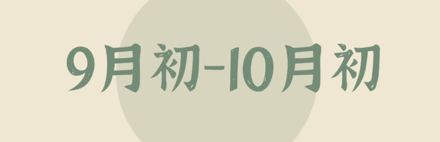直播笔记-小三门和作文